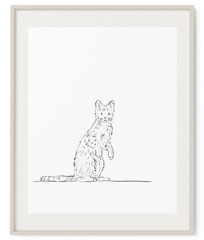 Curious Cat Sketch Art Print - Artsy Bath