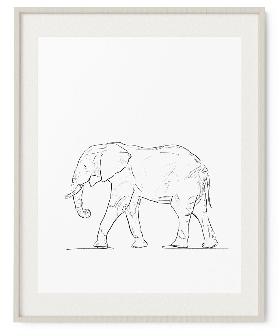 Elephant Sketch Art Print - Artsy Bath