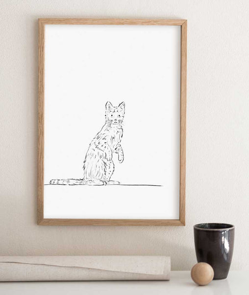 Curious Cat Sketch Art Print - Artsy Bath